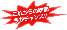 これからの季節　今がチャンス!!